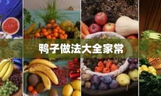 鸭子做法大全家常