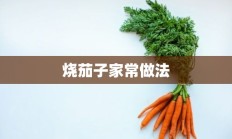 烧茄子家常做法