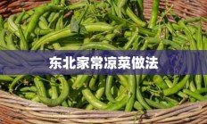 东北家常凉菜做法