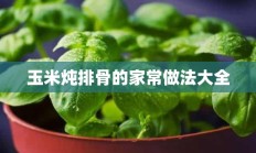 玉米炖排骨的家常做法大全