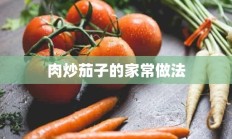 肉炒茄子的家常做法