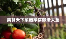 美食天下菜谱家常做法大全