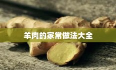 羊肉的家常做法大全