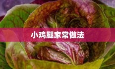 小鸡腿家常做法