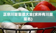 正宗川菜菜谱大全(求所有川菜菜名)