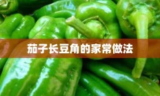 茄子长豆角的家常做法