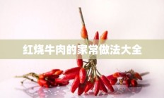 红烧牛肉的家常做法大全