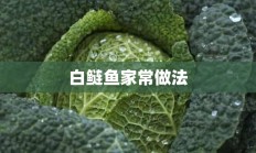 白鲢鱼家常做法