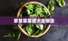 家常菜菜谱大全做法