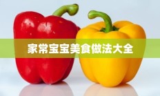 家常宝宝美食做法大全