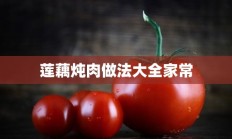 莲藕炖肉做法大全家常