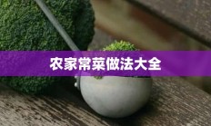 农家常菜做法大全