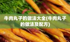 牛肉丸子的做法大全(牛肉丸子的做法及配方)