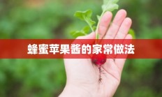 蜂蜜苹果酱的家常做法