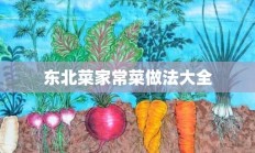 东北菜家常菜做法大全