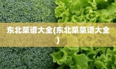 东北菜谱大全(东北菜菜谱大全)