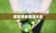 家常美食做法大全