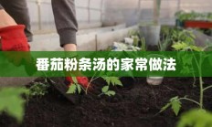 番茄粉条汤的家常做法