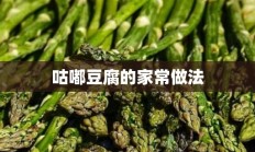 咕嘟豆腐的家常做法