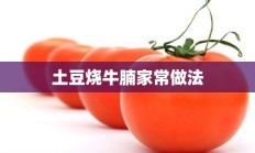 土豆烧牛腩家常做法