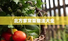 北方家常菜做法大全