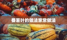 番薯叶的做法家常做法