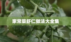 家常菜虾仁做法大全集