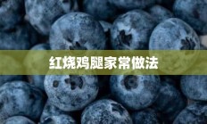 红烧鸡腿家常做法