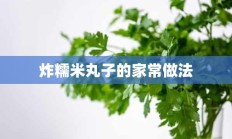 炸糯米丸子的家常做法