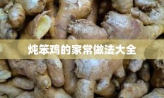 炖笨鸡的家常做法大全