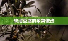 软溜豆腐的家常做法