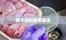 鸽子汤的家常做法