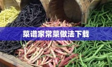 菜谱家常菜做法下载