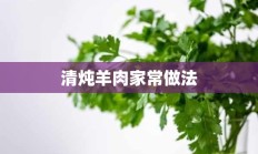 清炖羊肉家常做法