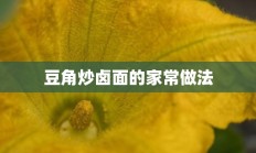 豆角炒卤面的家常做法