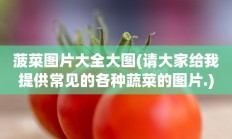 菠菜图片大全大图(请大家给我提供常见的各种蔬菜的图片.)