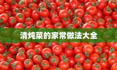 清炖菜的家常做法大全