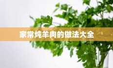 家常炖羊肉的做法大全