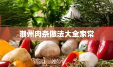 潮州肉条做法大全家常