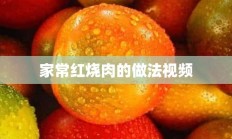 家常红烧肉的做法视频