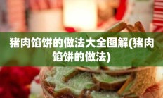 猪肉馅饼的做法大全图解(猪肉馅饼的做法)