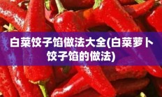 白菜饺子馅做法大全(白菜萝卜饺子馅的做法)