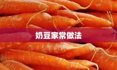 奶豆家常做法