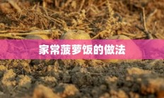 家常菠萝饭的做法