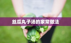 丝瓜丸子汤的家常做法