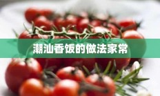 潮汕香饭的做法家常