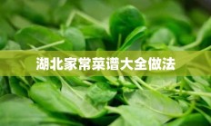 湖北家常菜谱大全做法