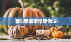 潮汕菜谱家常菜做法