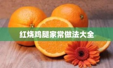 红烧鸡腿家常做法大全