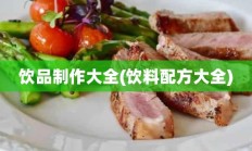 饮品制作大全(饮料配方大全)